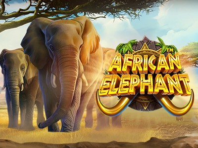 DA88 African Elephant